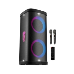 בידורית איכותית עם מיקרופונים WEWE PARTY BASS